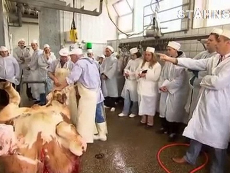 Herr röss' restaurantzores folge 1