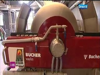 A vos Régions"- Direct 8 - Vendanges à Saint Tropez