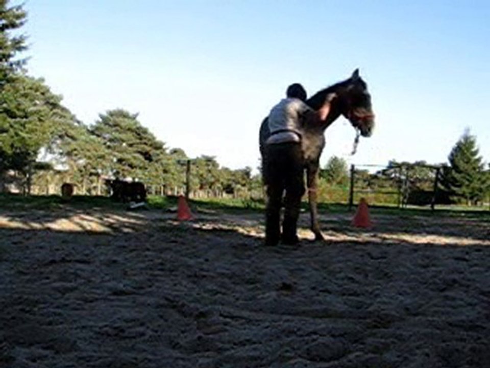 webdeplacements hanches-epaules et reculer 09.10