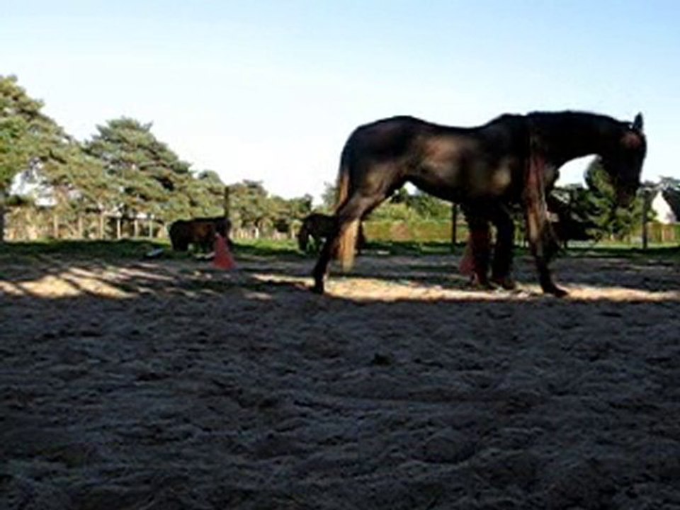 webcampo avec rvrence 09.10