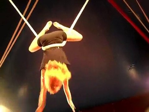 paradis Tzigane Circo Romanes Black Bird Factory