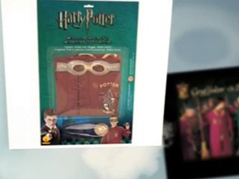 Harry Potter Quidditch Costume Ideas