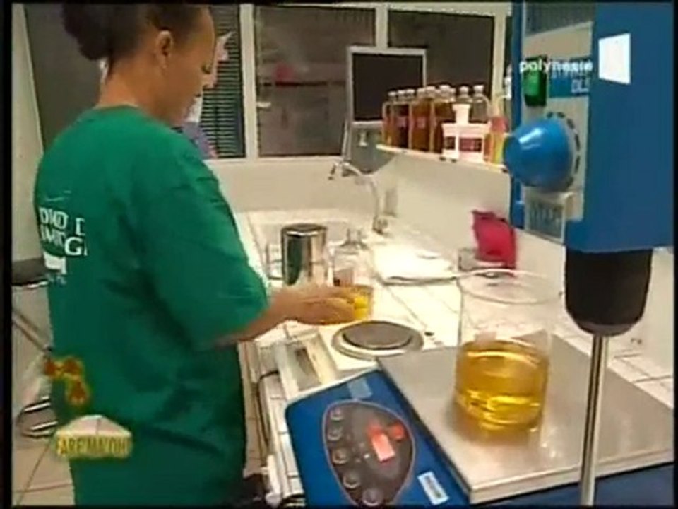 Fare Maohi Présentation 16- LCPS