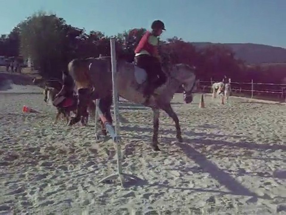 cheval musical