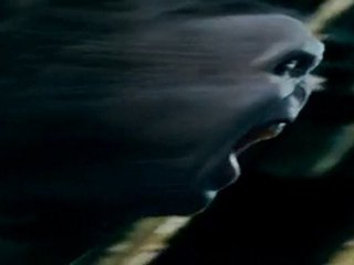 Harry Potter Et Les Reliques De La Mort-Trailer(VO) OMG.
