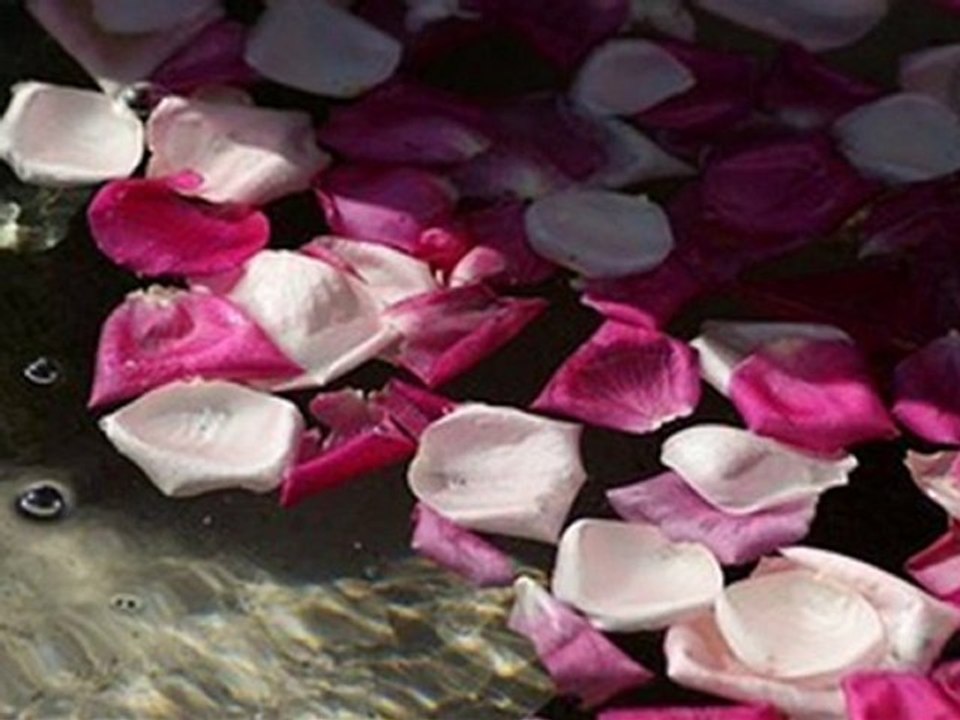 Ey Gönül Aşkın Sarayın Yıkdı Bir Na-Mihriban