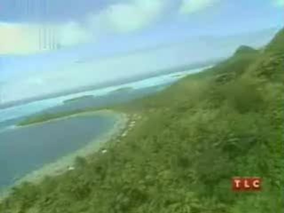 Un Ver Dans La Tete