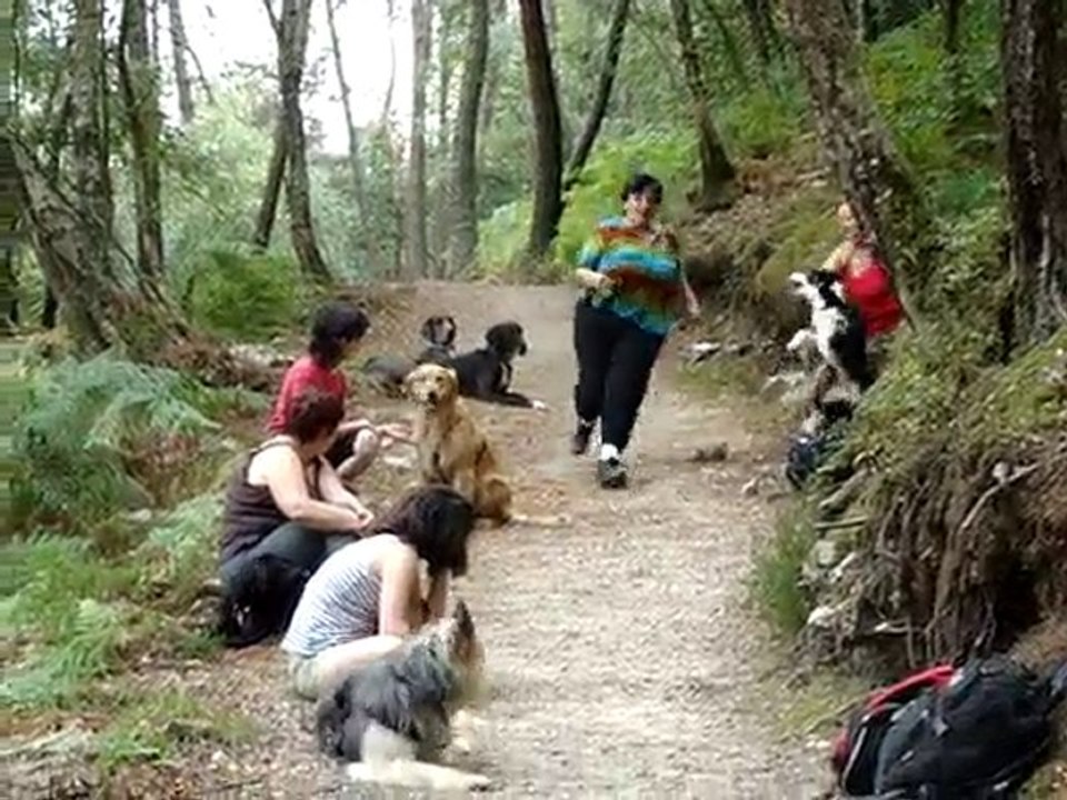 Même pas peur : il s'en passe des choses dans les bois !
