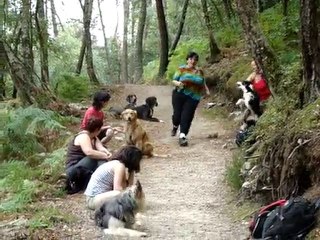 Même pas peur : il s'en passe des choses dans les bois !
