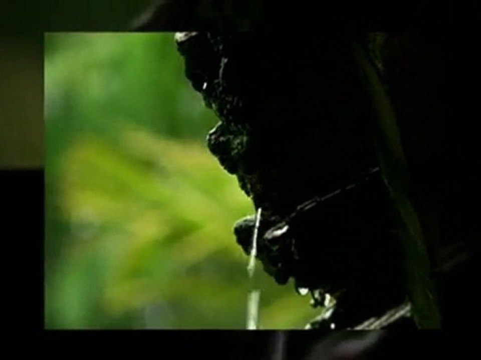 Morris County Landscaper|NJ Landscape Contractor|Green ...