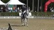 COCKPIT Reprise Libre championnat de France dressage 2010