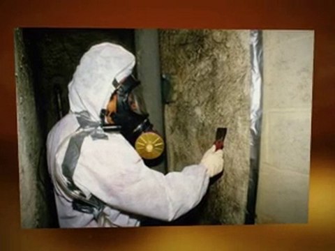 Asbestos Removal Procedure Bradenton FL