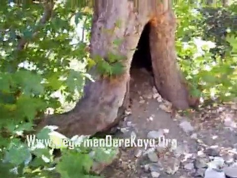 Çorum,Alaca,Değirmendere Köyü,Çınar Baba