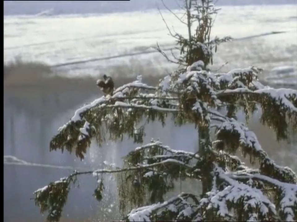 Les secrets du Jura