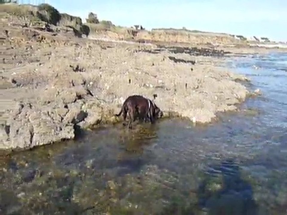 EWANE à la mer Aout 2010 vol 3