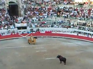 Corrida concours: Robert Margé