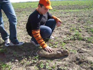 Wypuszczanie na wolnosc Zajęcy cz2