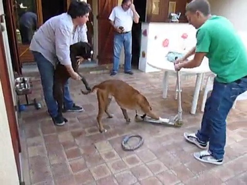 EWANE et EOLE à la maison Sept 2010 vol 3