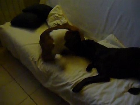 EWANE et EOLE à la maison Sept 2010 vol 4