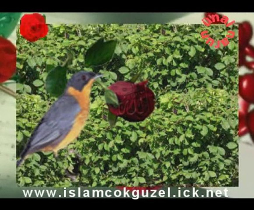 Yüreğim Neden Böyle