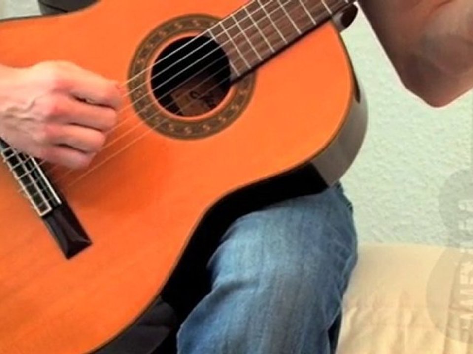 Plektrum - spielen mit dem Plektrum: Gitarre für Anfänger