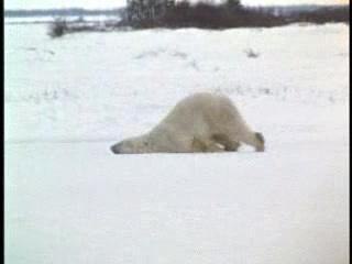 arrivée le lundi matin