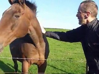 Short series of clips during a local morning walk.