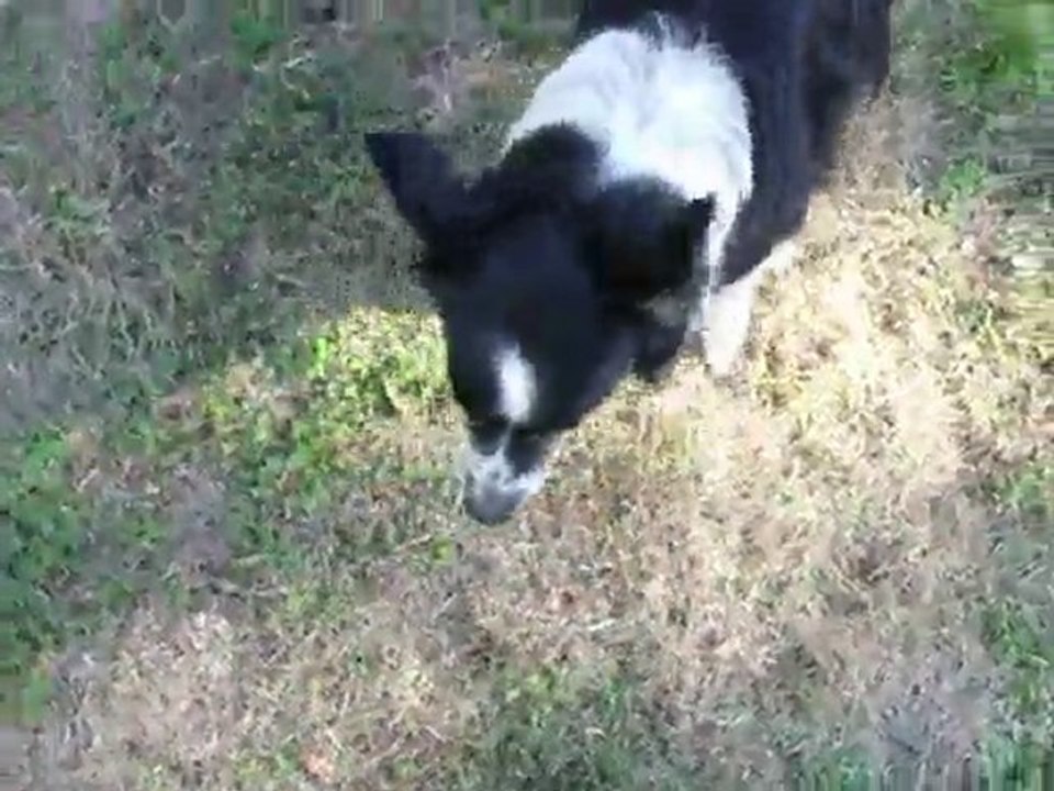 premier apprentissage youki et félibre