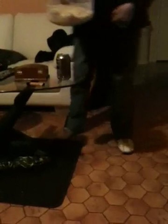 Bb Staff Chiots De Vindetta