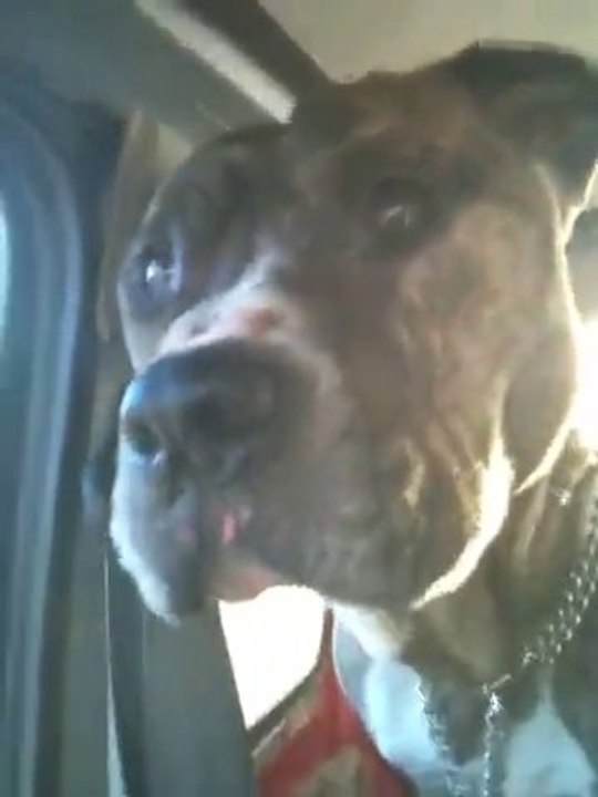 La Loire En Crue A Chatillon Sur Loire  et Mon Staff Ulk