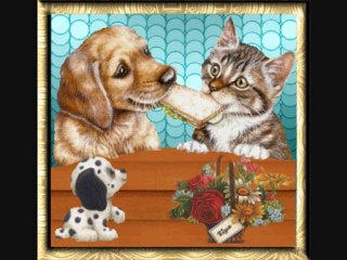 concours photo septembre 2010