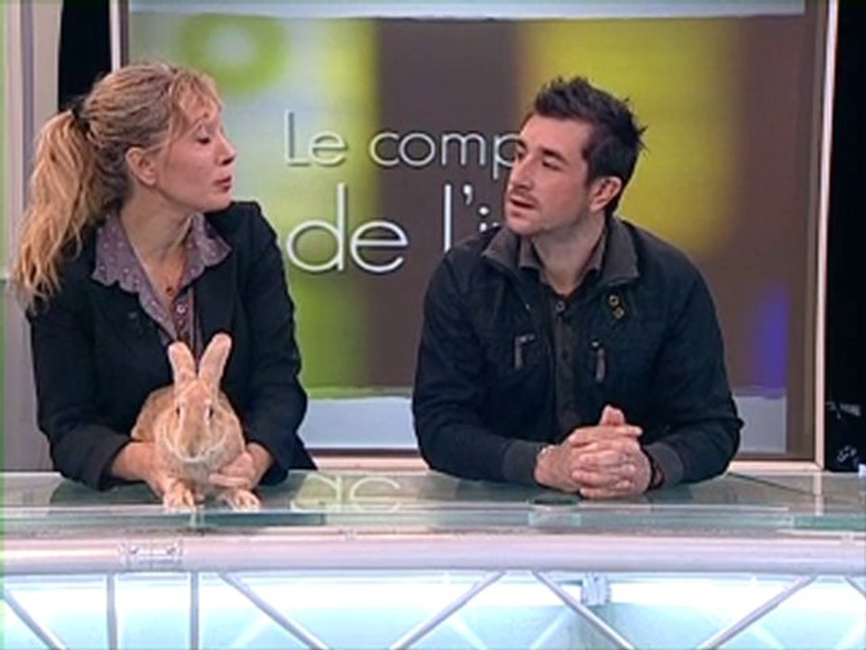 Le Comptoir de l Info P2-24_sept_2010