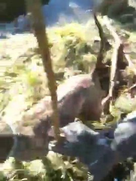 Staff Ulk Et Aleria En Promenade