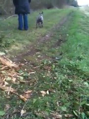 Ulk En Mode Petite Brosse A Dents