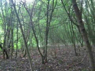 le parc de l'enfant jesus - canal peniche