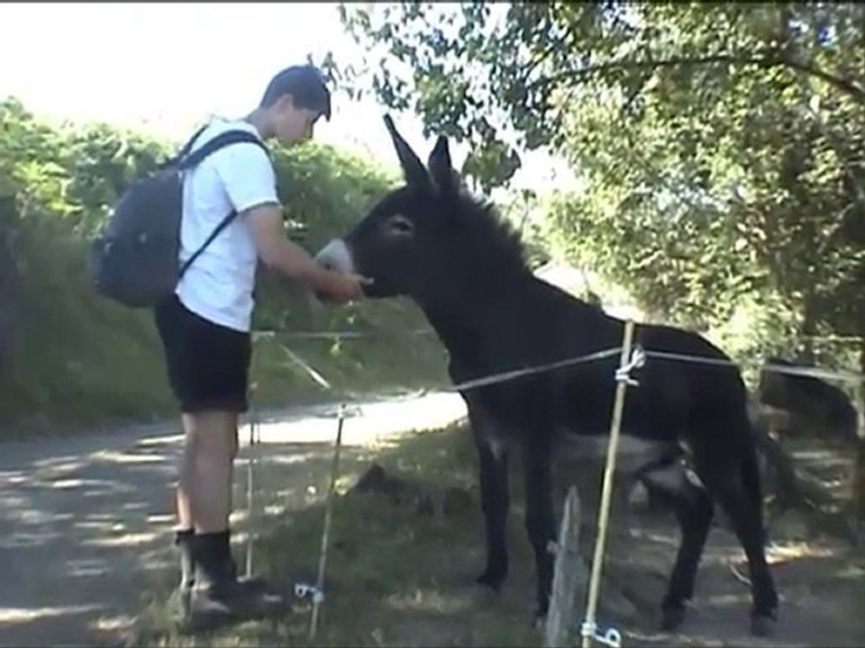 Camp Cantal 2010