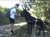 Camp Cantal 2010