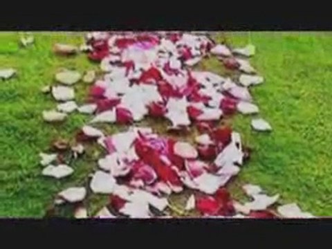 cahit sıtkı tarancı - desem ki