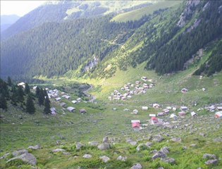 AMLAKİ YAYLASI-www.kavrun.tr.gg