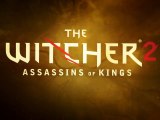 The Witcher 2 Assassins of Kings Prison Break gameplay