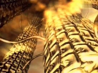 Une théorie de la conscience