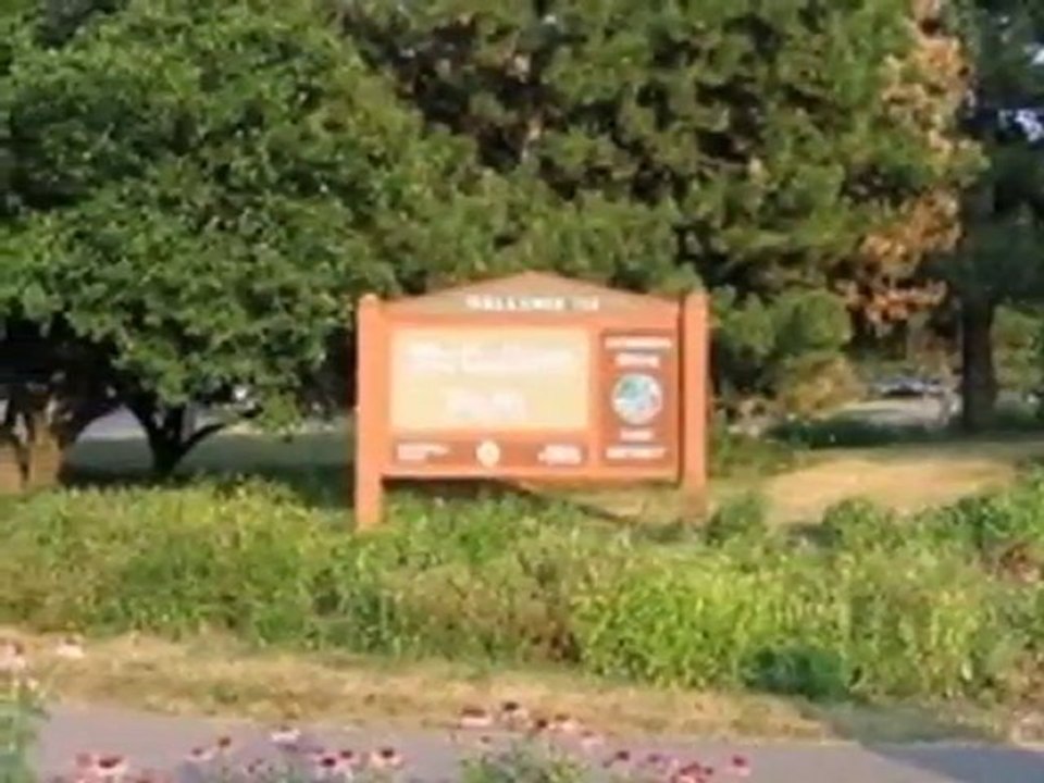 Homes for Sale - 4117 Sterling Rd - Downers Grove, IL 60515