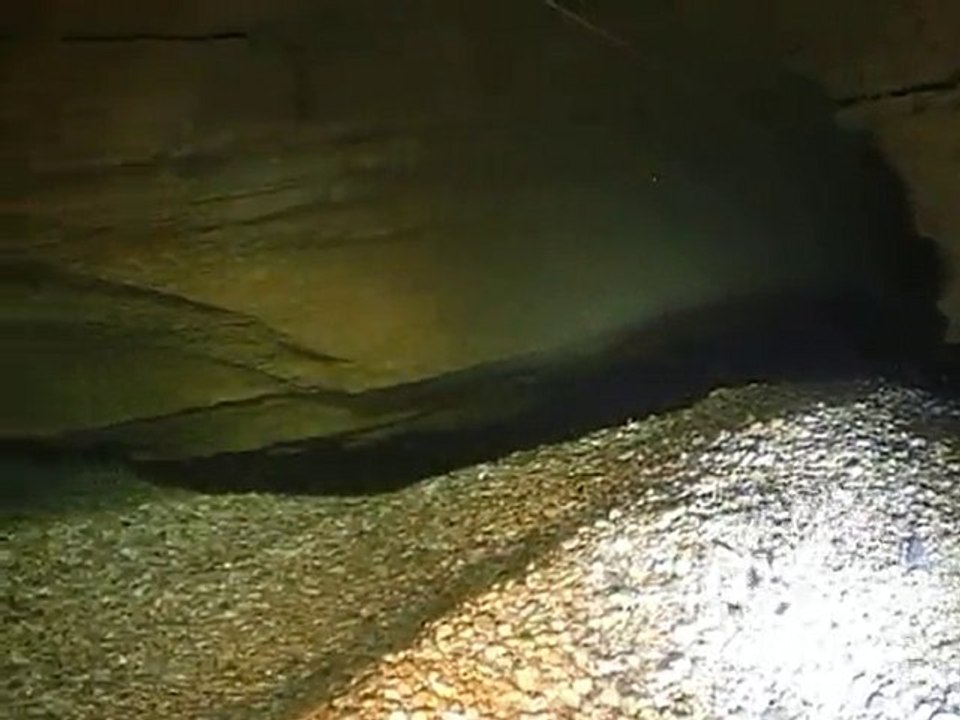 Durzon Laminoir Stanton