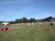 Miniature DailyMotion