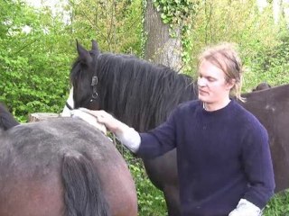 Visite chez Pierre Plumet - Maraicher Bio - Partie 1