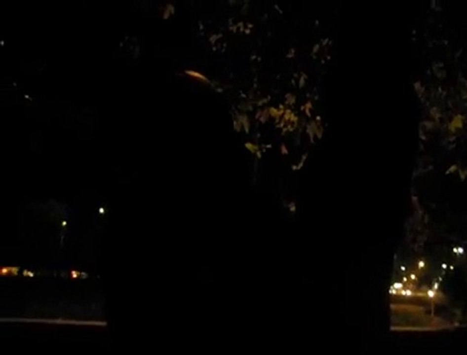 Tripkolic-Canlı performans