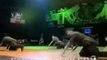 Break Dance BreakDancing Hip Hop Battles