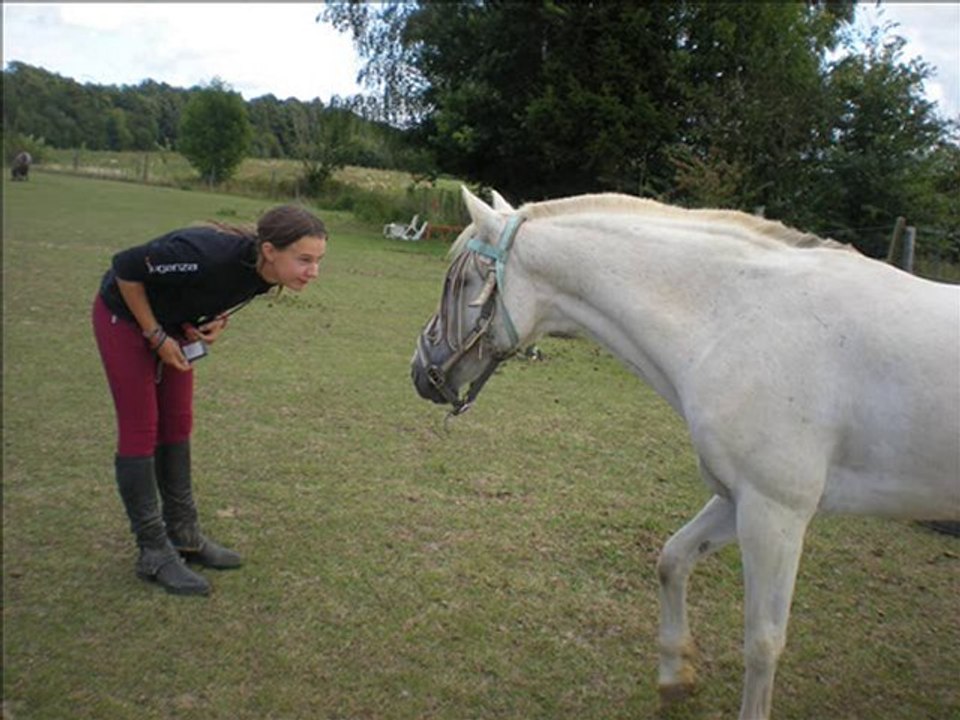 spispi je t aime