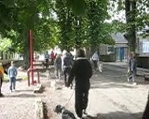 Travail des chiens simulation réelle  1