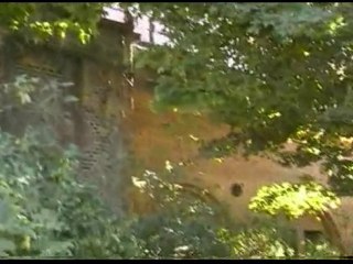 Les d. s. du nazisme - Bormann - (3 et fin)